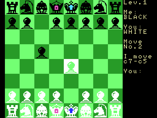 컴퓨터 체스 (コンピューターチェス / Computer Chess)